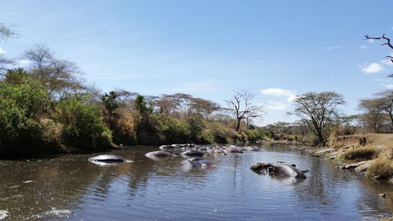 Serengeti