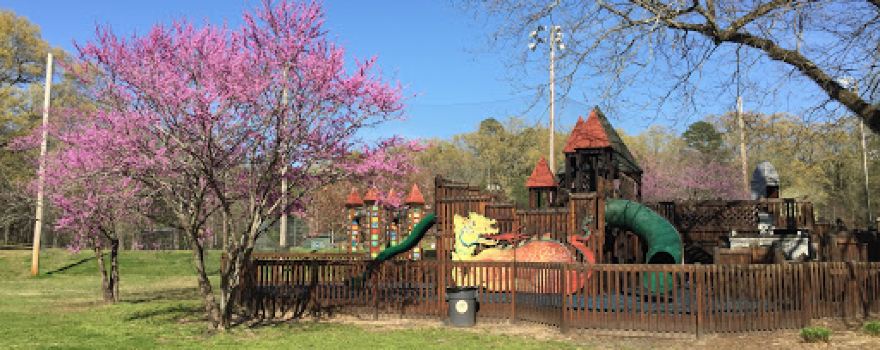 Avent Park