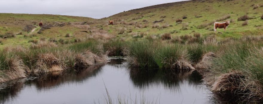 Dundale Pond