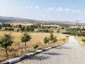 Afyon Governor Memorial Forest