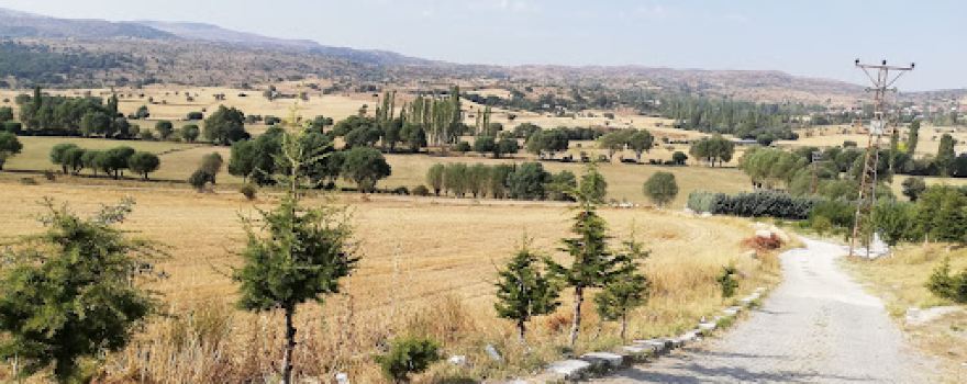 Afyon Governor Memorial Forest