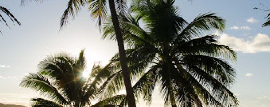 Galoa Island