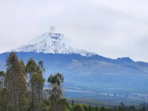 LA FACULTAD "NIGHT CLUB"