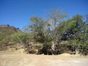 Balneario El Agua Caliente