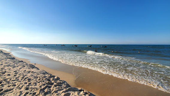 Bãi biển Vĩnh Thái