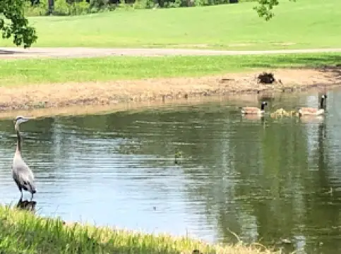 ヘーロン・レイクス・カントリー・クラブ