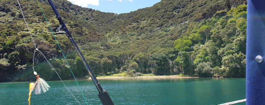 Kaipakirikiri Bay
