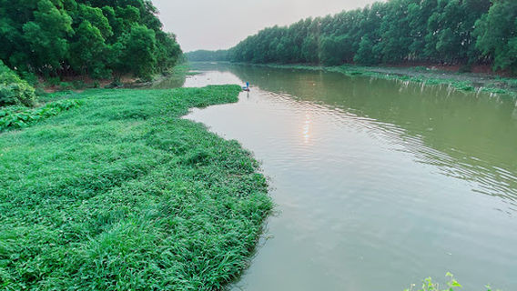 Công Viên Vườn Cọ Vòng Xoay Mỹ Phước