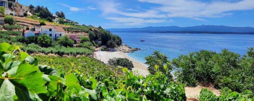 Plaža Velo Forska