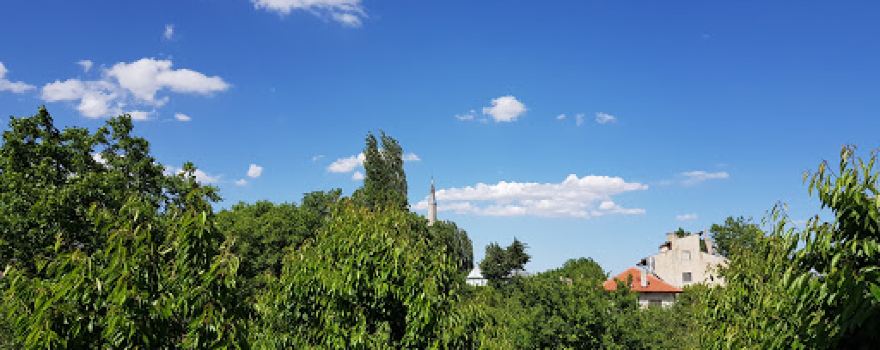 Fatih Cami
