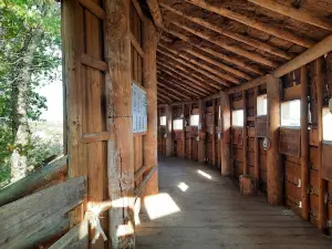 Réserve naturelle nationale de l'étang des Landes