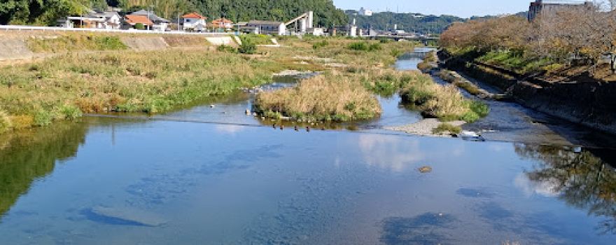 Ibaratsutsumi Sakurabashi Park