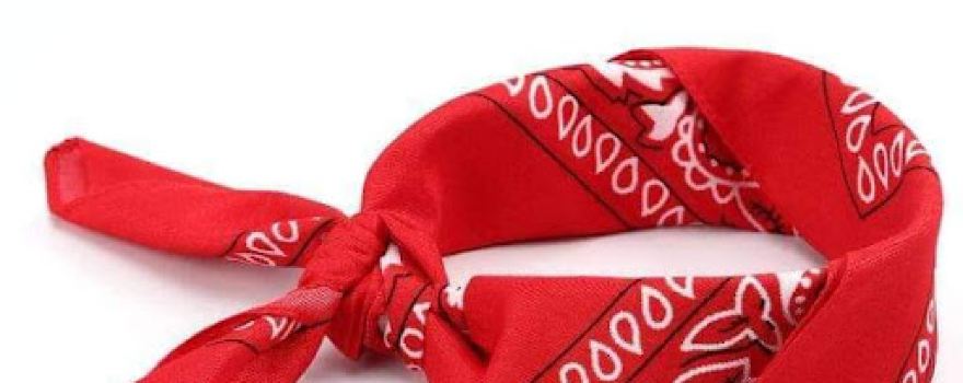 Garden Center at The Home Depot