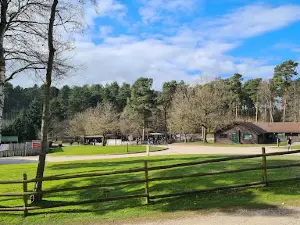 Cannock Chase MTB Trails