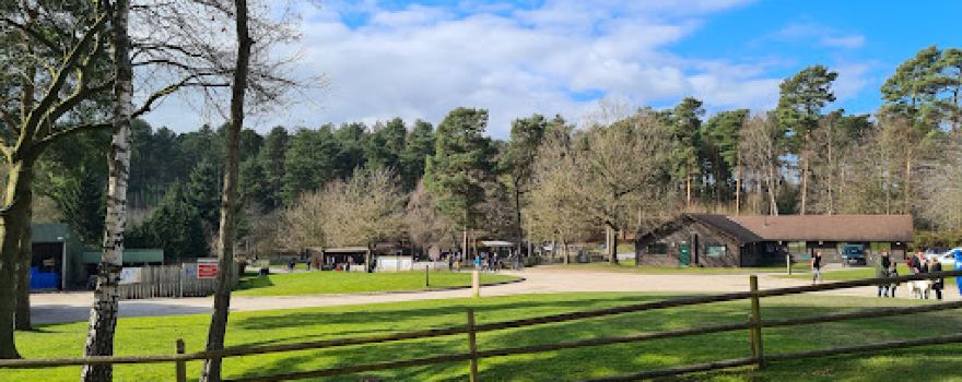 Cannock Chase MTB Trails