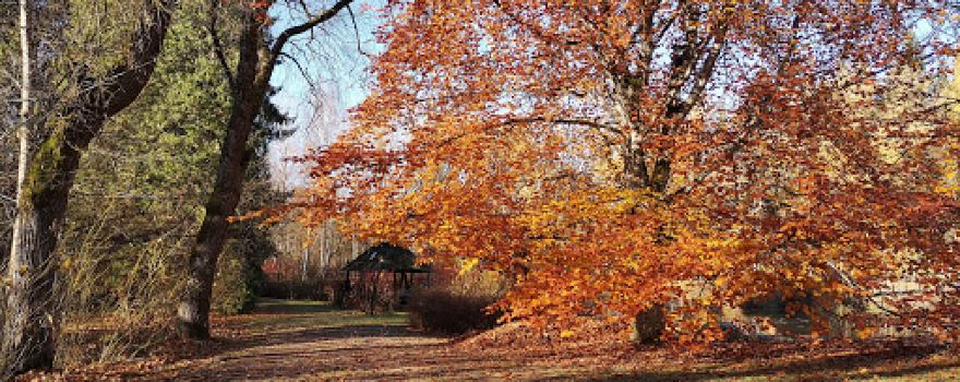 I.Navidansko Botanical Park