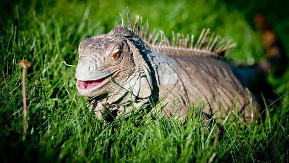 Point Defiance Zoo & Aquarium