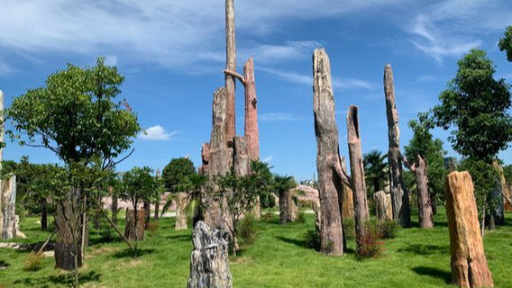 Huangshi Overseas Chinese Town Dinosaur Adventure Land