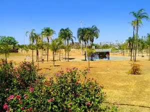 Taguaparque Synthetic Soccer Field