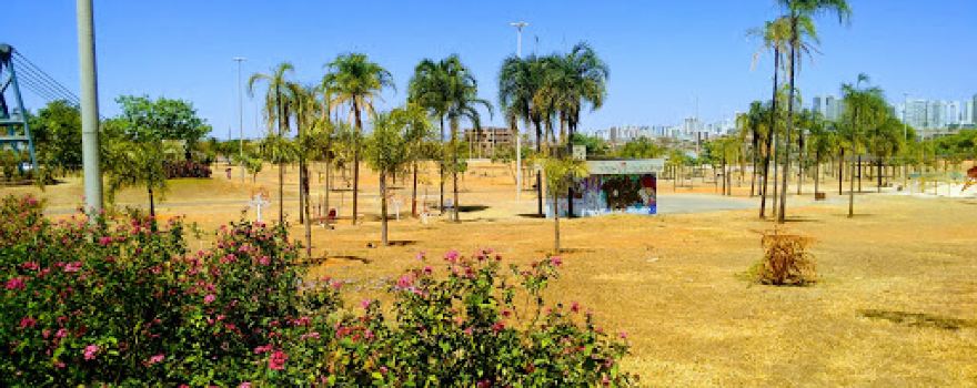 Taguaparque Synthetic Soccer Field