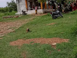 Hiraman Baba, Jhore, हीरामन बाबा, झौरै