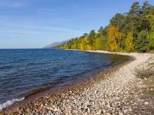 Barguzinskiy Gosudarstvennyy Prirodnyy Biosfernyy Zapovednik Imeni K.a. Zabelina
