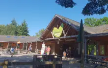 Alice Holt's Timberline Play Trail