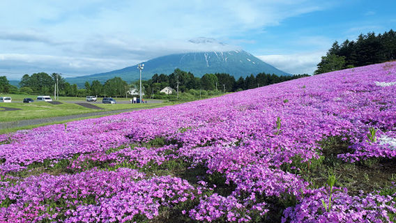 Kutchan