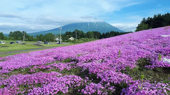 Asahigaoka Total Park
