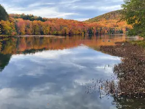 Domaine naturel du lac Gale