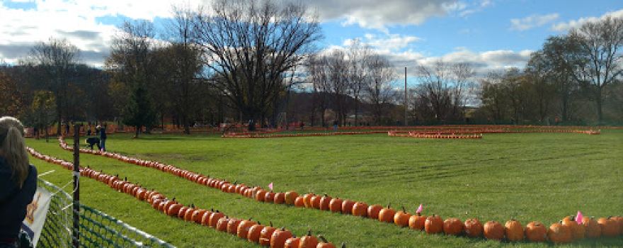 Krouskop Park