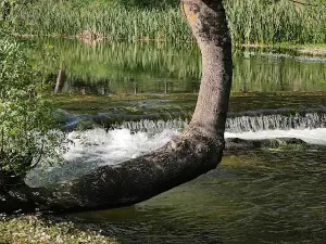 Praia fluvial da Pousa