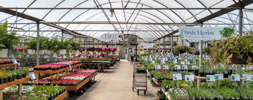 Ken's Gardens
