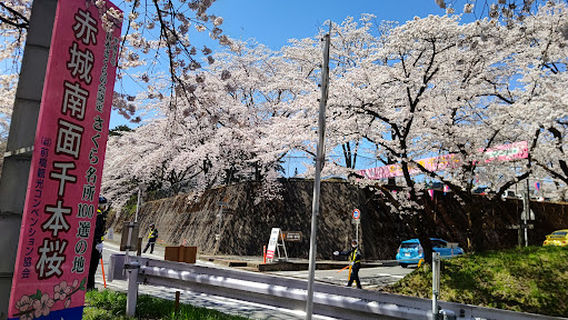 Akagi south Senbonzakura