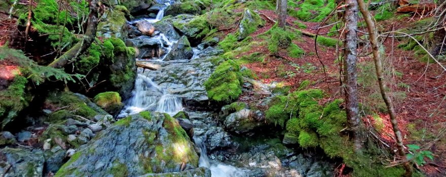 New Brunswick