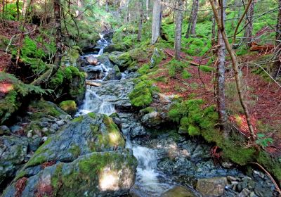 Fundy National Park Of Canada