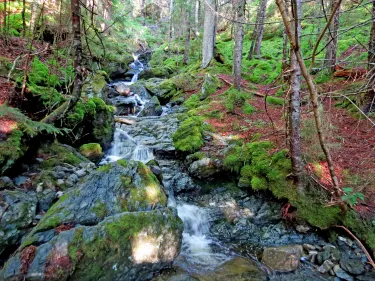 Fundy National Park Of Canada