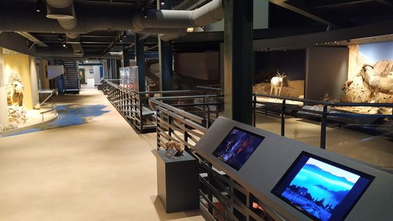 Natural History Museum of Crete