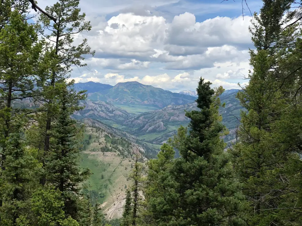 2_Gunnison National Forest