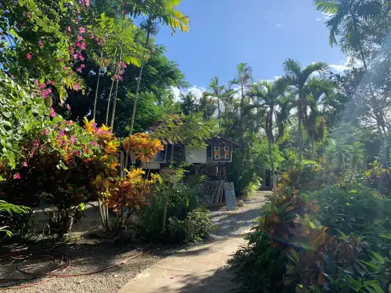 Hotels near Manati Park