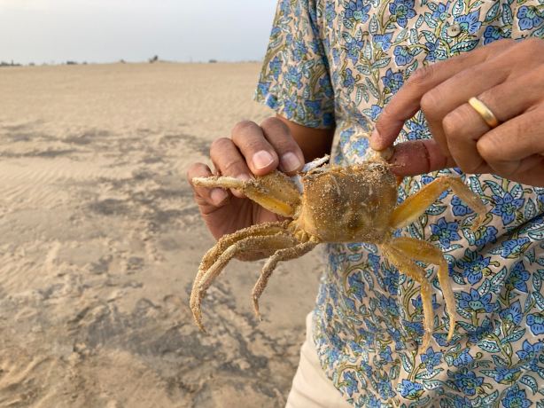 Ramachandi Beach