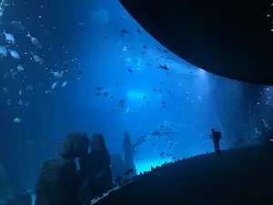 Poema del Mar