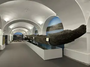 City Museum of Novi Sad