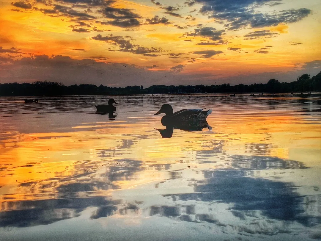 5_Priory Country Park