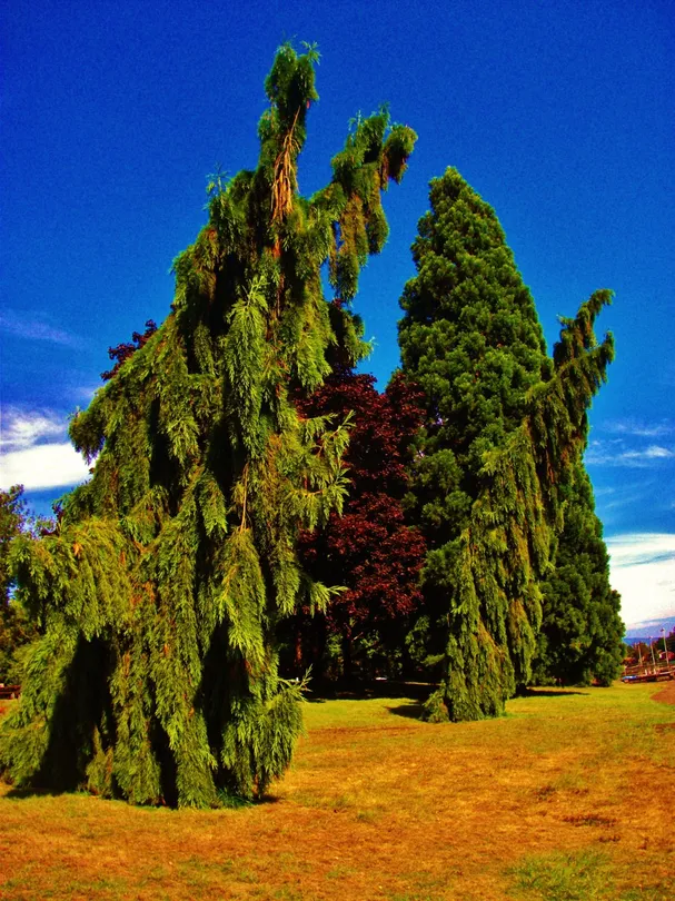 2_Blue Lake Regional Park