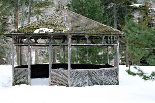 Bowring Park