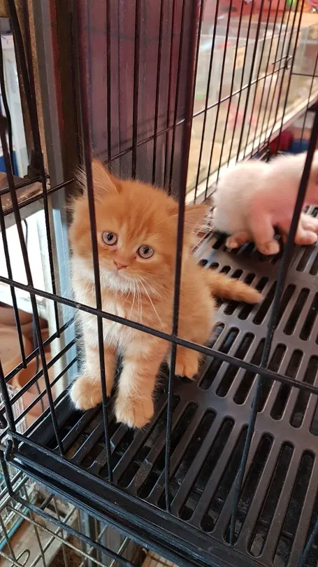 3_ตลาดเซฟวัน