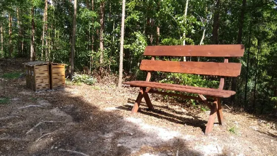 Forest Botanical Garden Marszewo