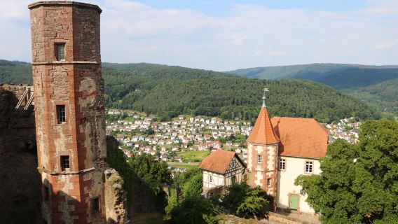Dilsberg Castle