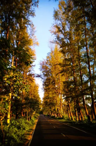Cox's Bazar Sadar Upazila